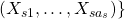 (X_{s1}, …, X_{s{a_s}})\}