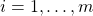 i = 1, …, m